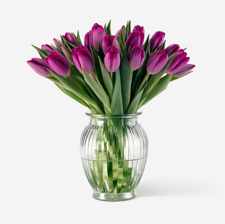 25 stems in Royal Windsor Vase