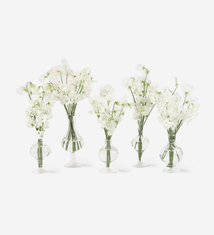 50 Stems of Ghost White Sweet Pea  in a Bailey Bud Vase Set
