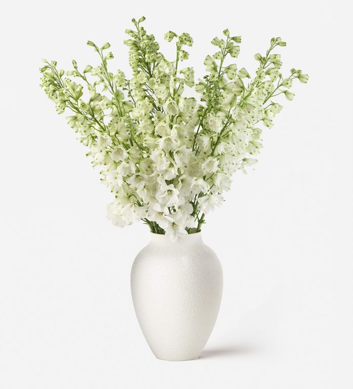 10 stems in a Large Mayfair Blanc Vase