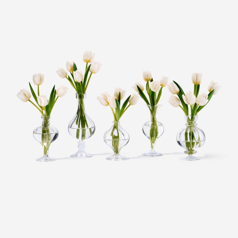 Bailey Bud Tulip Vase Set