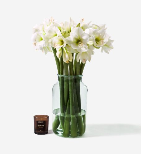 10 Stems in a Medium Apothecary Vase