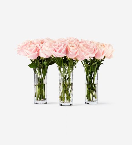 Baccarat Rose Vase Set with 30 stems of Pink Sweet Avalanche Roses