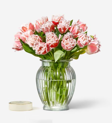 25 Stems of Coral Crush Fringed Tulip & Milk Sea Salt Caramel Chocolate Truffles - Please Note Vase is Not Included