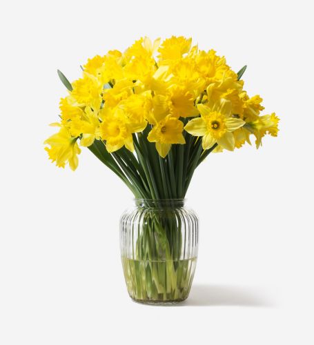 Daffodil Vase Set