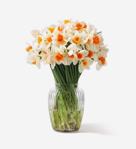50 stems in a Medium Curve Windsor vase