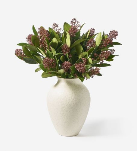 15 Stems in a Small Mayfair Vase