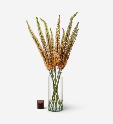10 Stems in a Tall Apothecary Vase