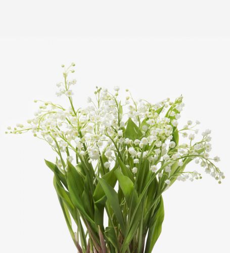 Bridal White Lily of the Valley 