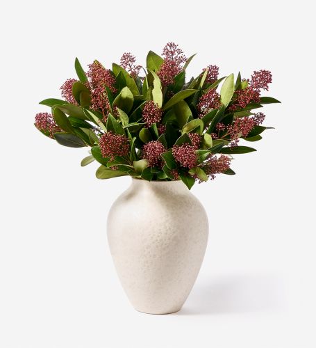 15 Stems in a Small Mayfair Vase