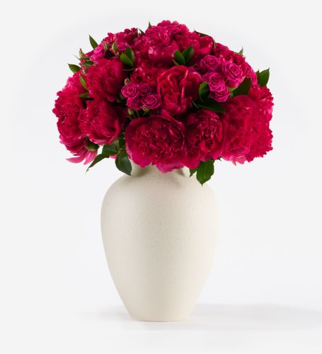 Framboise Pink - Extraordinary in a Large Mayfair Blanc Vase