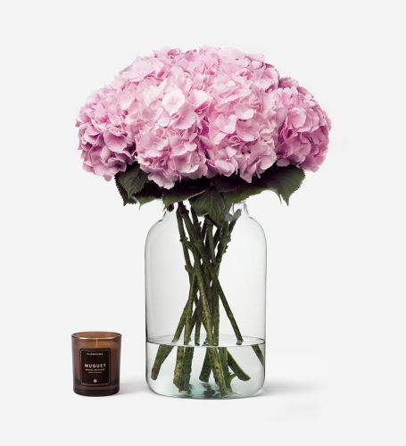 10 Stems in a Large Apothecary Vase - Please note vase is not included