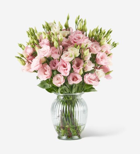 20 Stems of Pink Chiffon Lisianthus in a Royal Windsor Vase