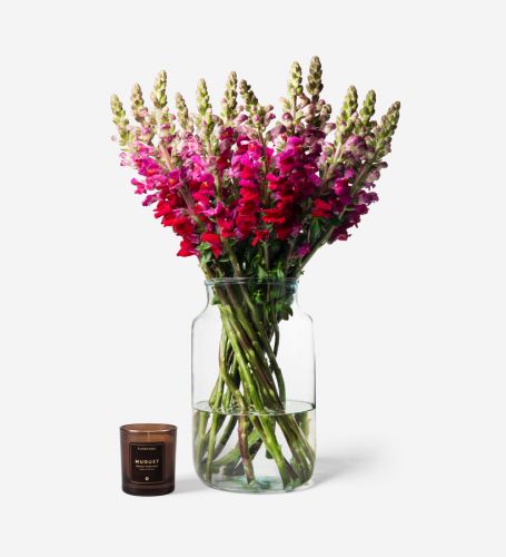 20 Stems in a Medium Apothecary Vase