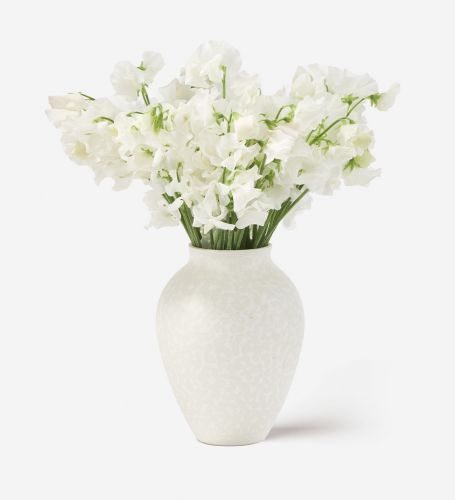 10 Stems in a Small Mayfair Blanc Vase