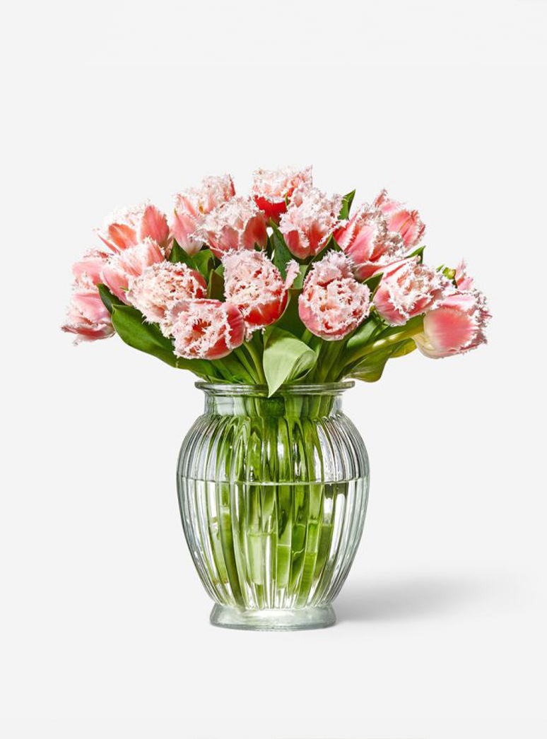 pink fringe tulip stems in a vase
