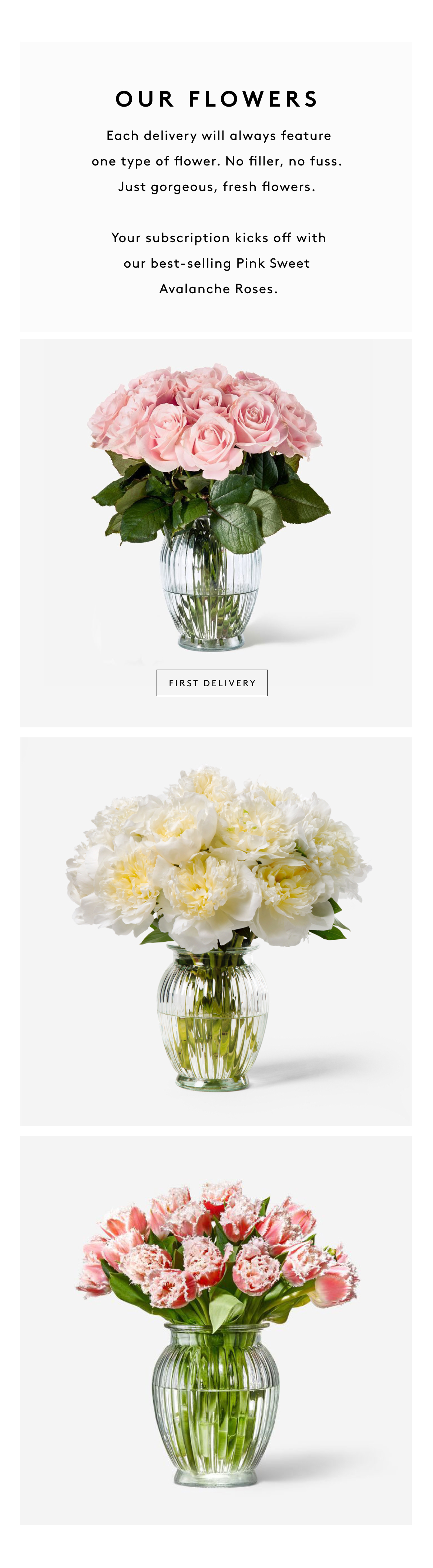 the flowers you'll get with your subscription