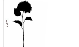 Pistachio Hydrangea | FLOWERBX