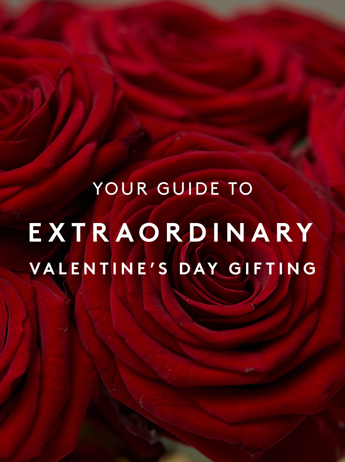 Your Guide to Extraordinary Valentine's Day Gifting