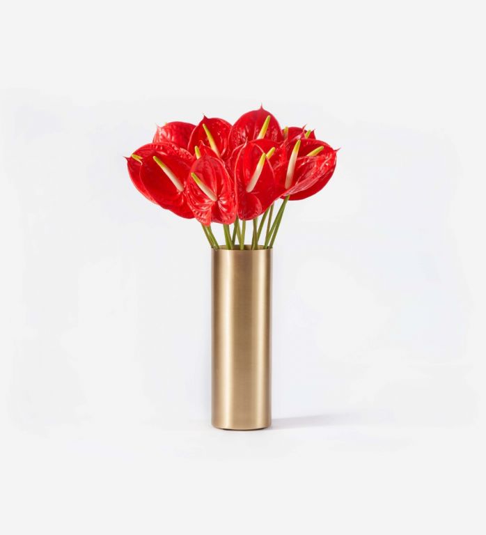Red anthuriums in a bronze vase