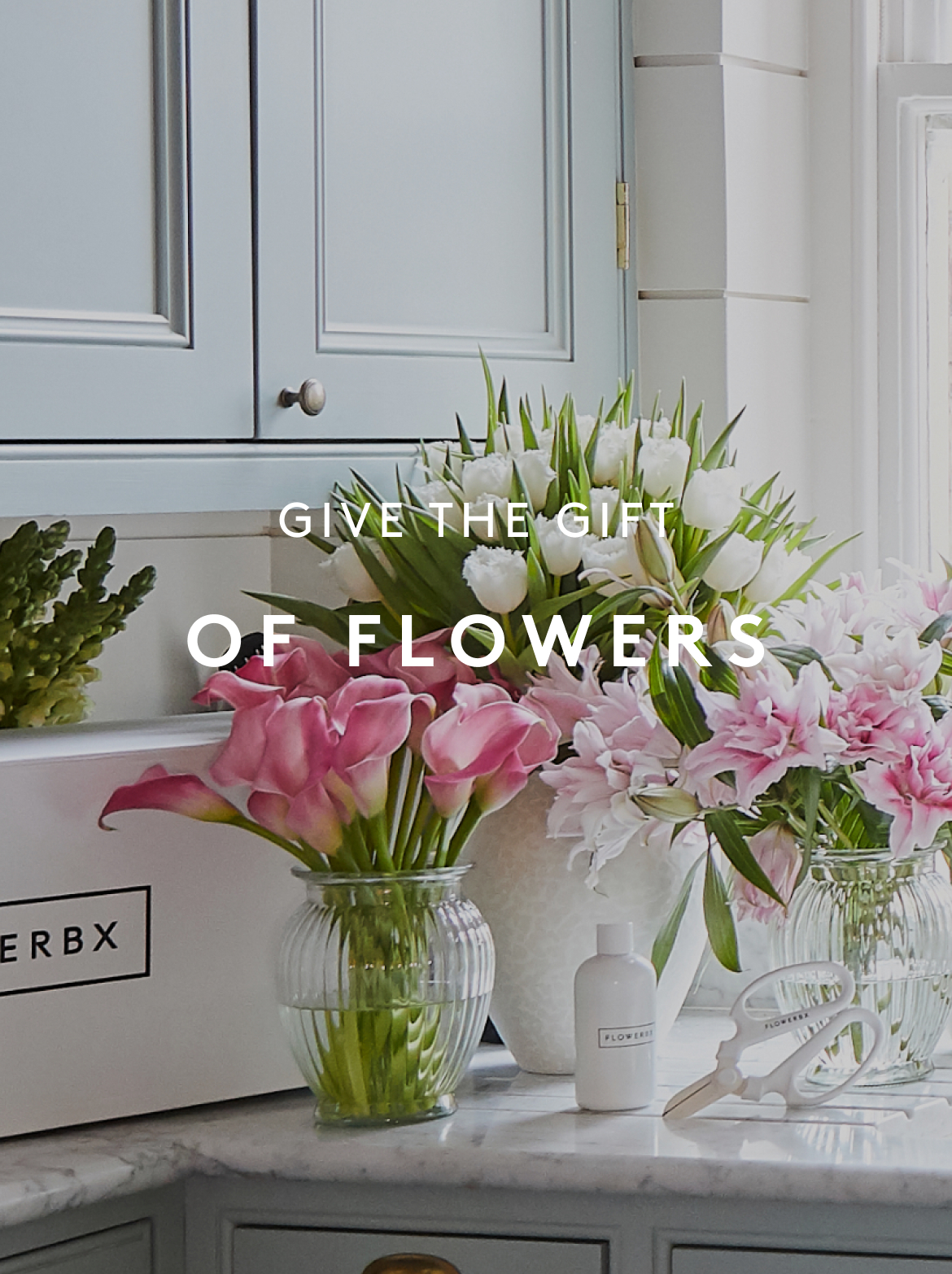 Flower Subscription Gifts
