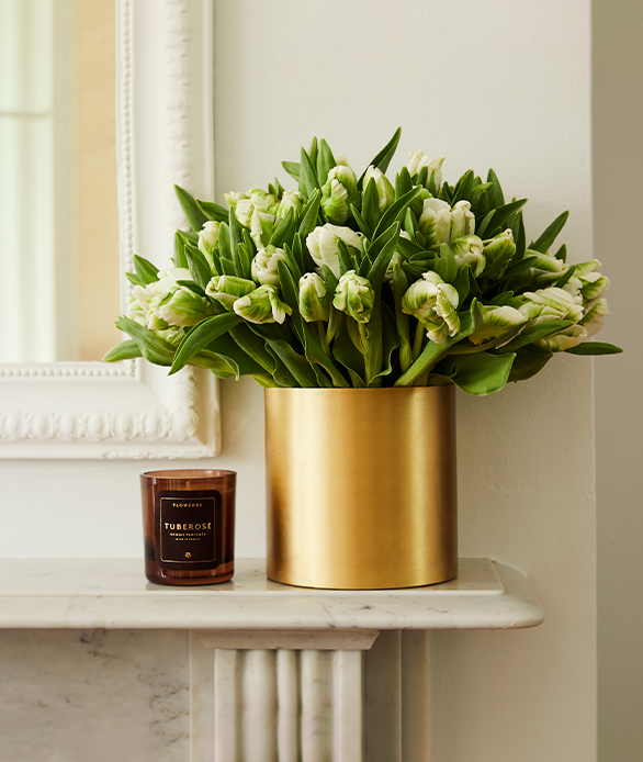 Tulips in a bronze vase