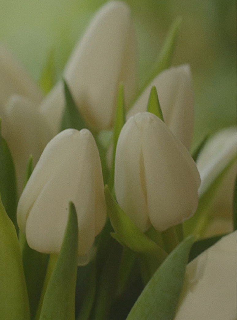 arrange your tulips